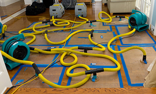 Professional Structural Drying And Dehumidification technician working in Dane, WI